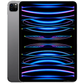 iPad Pro 11 4ta Gen Wi-Fi